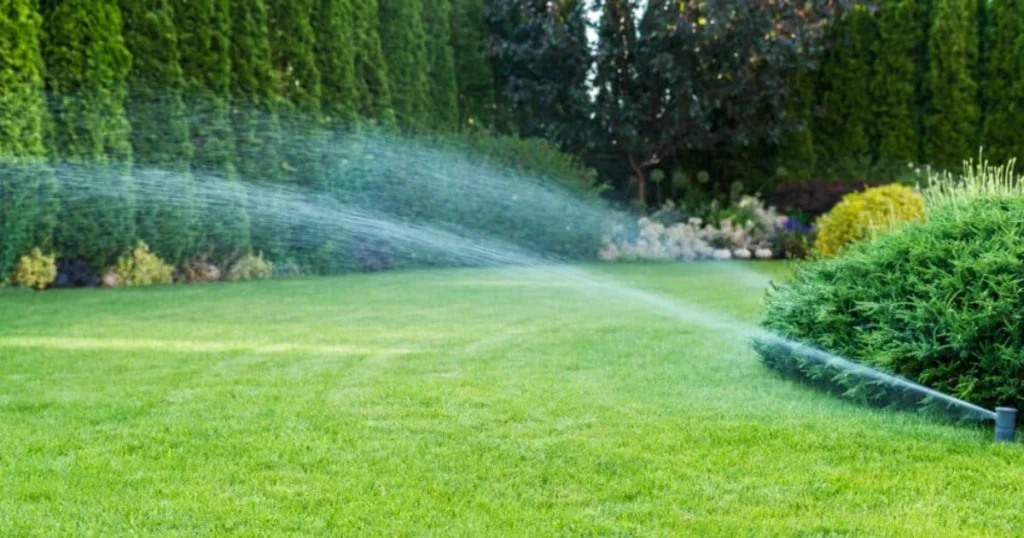 How Texas Irrigation Systems Save Water and Improve Your Lawn