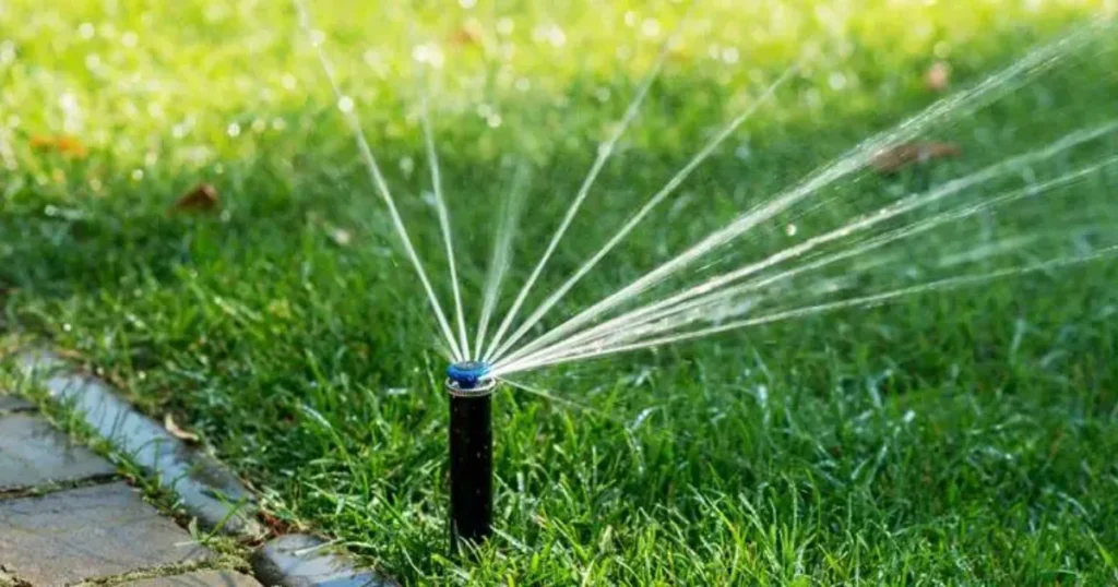 How to Choose the Right Irrigation System for Your Texas Property