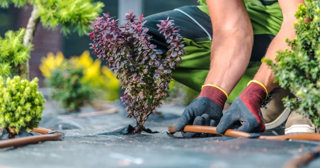 How Long Does It Take To Install Irrigation System