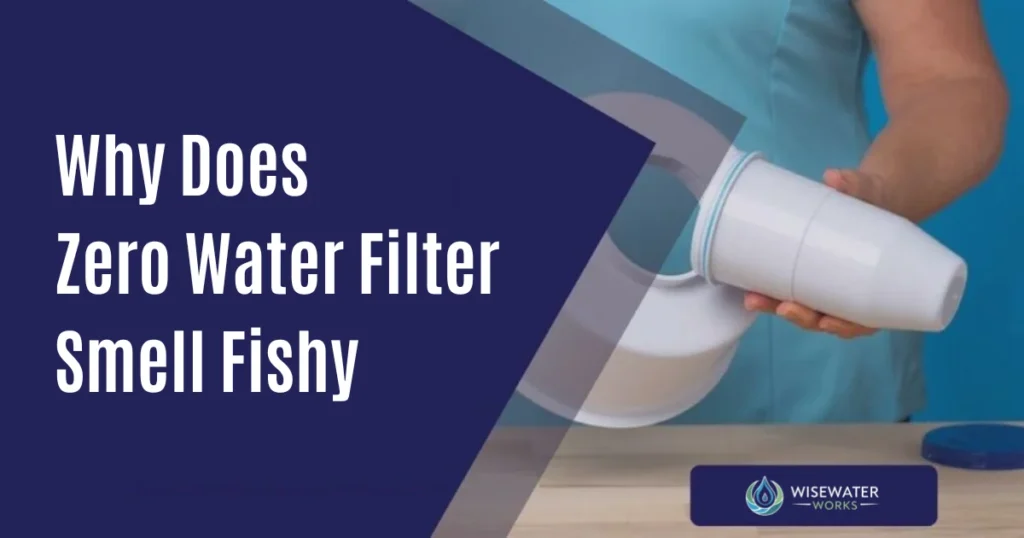 Why Does Zero Water Filter Smell Fishy