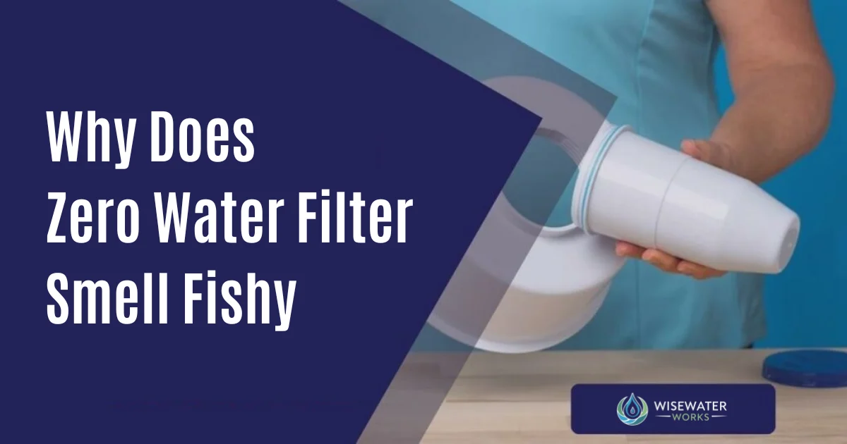 Why Does Zero Water Filter Smell Fishy