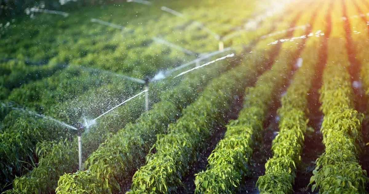 How Much Does An Irrigation System Cost